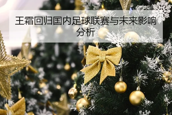 王霜回归国内足球联赛与未来影响分析（jisusports）